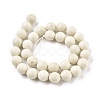 Natural Fossil Round Bead Strands X-G-O151-02-12mm-2
