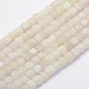 Natural Weathered Agate Beads Strands G-G705-10mm-04-1