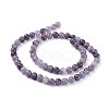 Natural Lepidolite/Purple Mica Stone Beads Strands G-E545-01A-5