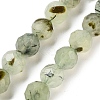 Natural Prehnite Beads Strands G-C150-B02-02-2