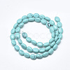 Synthetic Turquoise Beads Strands G-S357-B16-2