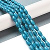 Synthetic Gemstone Dyed Beads Strands G-K362-I12-06-2
