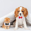 Globleland 2Pcs 2 Colors Cat Dog Cotton Bowknot Collars AJEW-GL0001-97-7