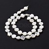 Natural Trochid Shell Beads Strands SSHEL-G023-09B-3