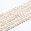 Natural Cultured Freshwater Pearl Strands A23TC011-4