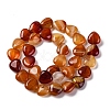 Natural Red Agate Beads Strands G-I372-A03-01-5