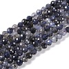 Natural Iolite Beads Strands G-G139-A11-03-1