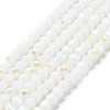 Opaque Glass Beads Strands EGLA-A035-P6mm-L01-1