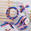  2 Rolls 2 Styles Independence Day Polyester Ribbon OCOR-NB0001-70-4