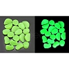 Plastic Imitation Luminous Stone Display Decoration PW-WG21176-06-1