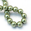 Baking Painted Pearlized Glass Pearl Round Bead Strands X-HY-Q003-4mm-49-4
