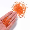 Glass Seed Beads X1-SEED-A007-2mm-169B-4