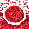 Opaque Baking Paint Glass Seed Beads SEED-T008-02K-2