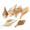 Conch Shell Beads SSHEL-S258-39-1