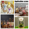 4 Sets 2 Style Transparent Glass Dome Jar Cloche Display Cases AJEW-NB0005-26-6