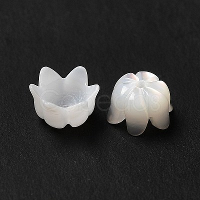 Natural Freshwater Shell Bead Caps BSHE-E026-12-1