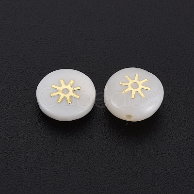 Natural Freshwater Shell Beads SHEL-N003-22-10-1