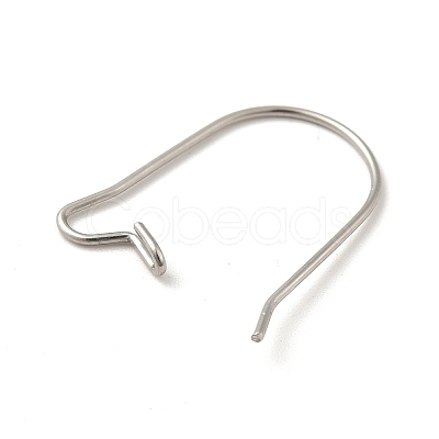 Tarnish Resistant 316 Surgical Stainless Steel Hoop Earrings Findings Kidney Ear Wires X-STAS-E009-6-1