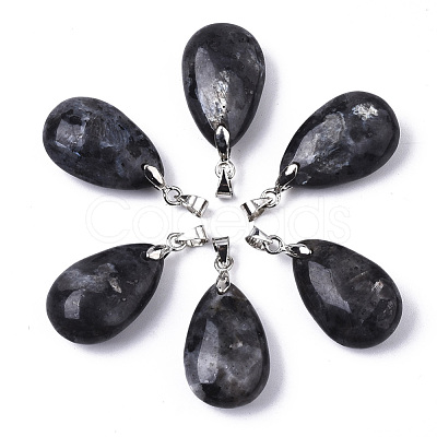 Natural Larvikite Pendants G-N0326-023A-1