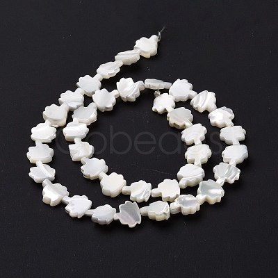 Natural Trochid Shell Beads Strands SSHEL-G023-09B-1