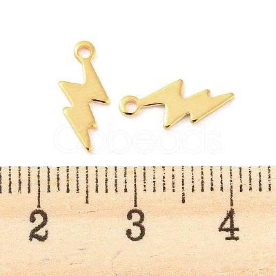 201 Stainless Steel Charms STAS-Z049-03G-1