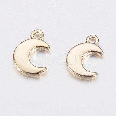 Long-Lasting Plated Brass Charms KK-F741-42G-1