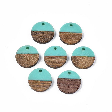 Resin & Walnut Wood Pendants RESI-S358-02C-17-1