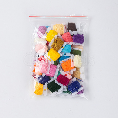 50 Colors Rainbow Color Polyester Embroidery Threads for Cross Stitch OCOR-YW0001-02M-1