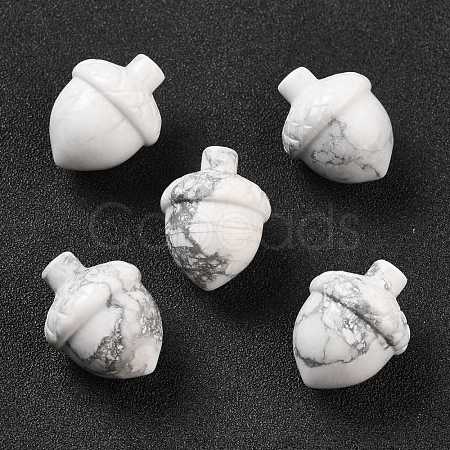 Natural Howlite Home Display Decorations G-M393-05I-1