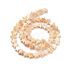 Star Natural White Shell Beads Strands BSHE-Q025-14B-5