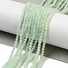 Natural Green Opal Beads Strands G-Z035-A02-01D-2