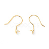 925 Sterling Silver Earring Hooks STER-P047-01B-G-3