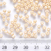 12/0 Baking Paint Glass Round Seed Beads SEED-S036-01A-19-3