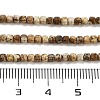 Natural Picture Jasper Beads Strands G-H042-B18-01-5