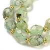 Natural Prehnite Beads Strands G-N342-58-4