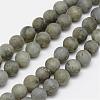 Natural Labradorite Frosted Bead Strands G-O155-04A-8mm-1