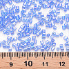 Glass Bugle Beads SEED-S032-10A-166-4