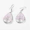 Natural Gemstone Dangle Earrings EJEW-P136-A-2