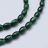 Natural Malachite Beads Strands G-F571-21-B-3