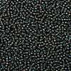 TOHO Round Seed Beads SEED-XTR08-0383-2