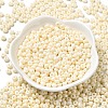 Baking Paint Glass Seed Beads SEED-B001-02A-06-2