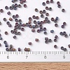 MIYUKI Delica Beads SEED-X0054-DB0884-4