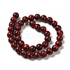 Synthetic Gemstone Dyed Beads Strands G-P507-03B-08-3