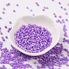 8/0 Baking Paint Glass Round Seed Beads SEED-XCP0001-09-2