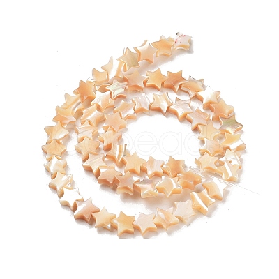 Star Natural White Shell Beads Strands BSHE-Q025-14B-1