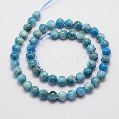 Natural Apatite Beads Strands G-I254-08C-1