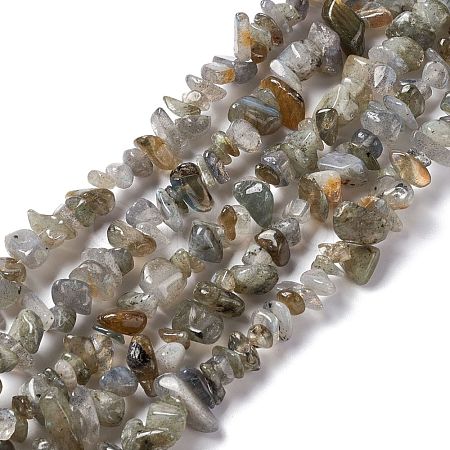 Natural Labradorite Chip Beads Strands G-G905-03-1