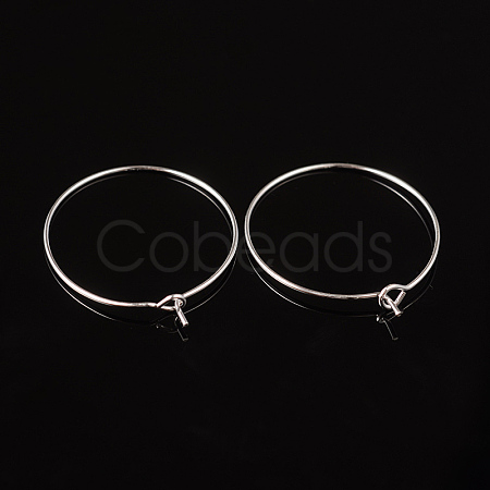 Silver Color Plated Brass Earring Hoops X-EC067-2S-1