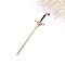 Ancient-Costume Style Alloy Hair Sticks for Women, Glass Sword Hairpin Chopsticks, Light Gold, 205x45mm