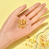 8500Pcs 10 Style Glass Seed Beads SEED-YW0001-80F-5